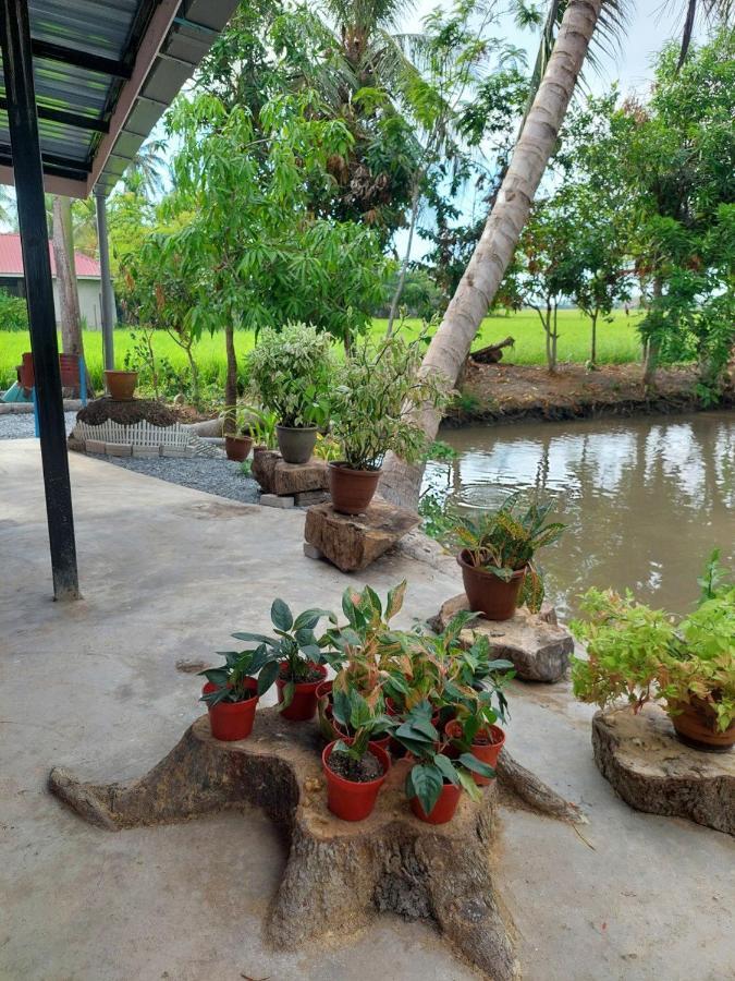 Pink Homestay D'Perlis Kangar Luaran gambar